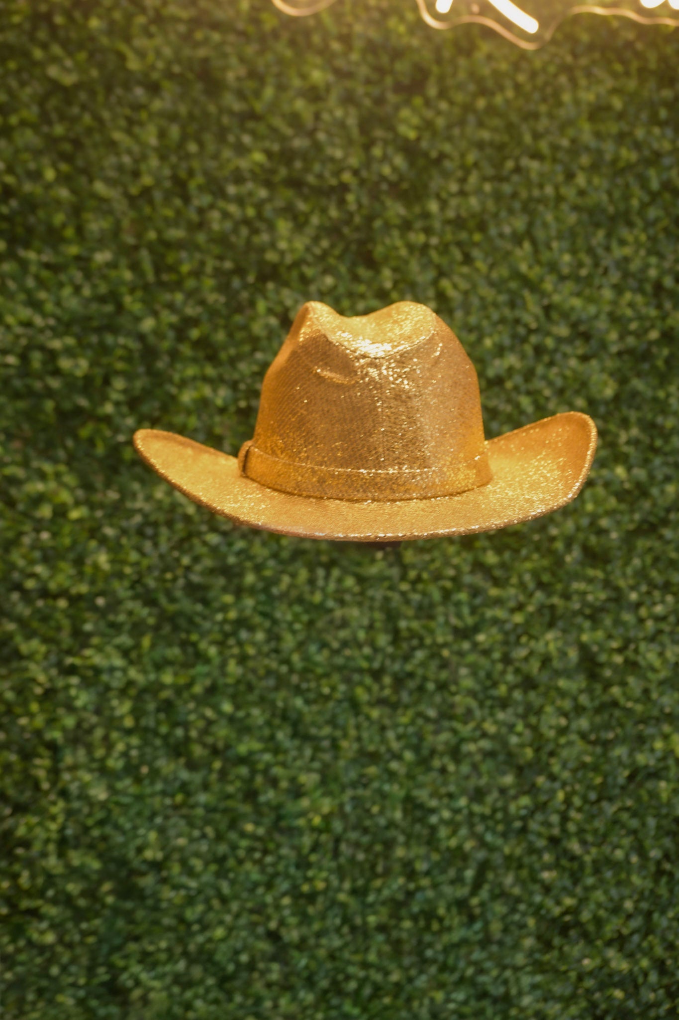 Gold Glitter Cowboy Hat