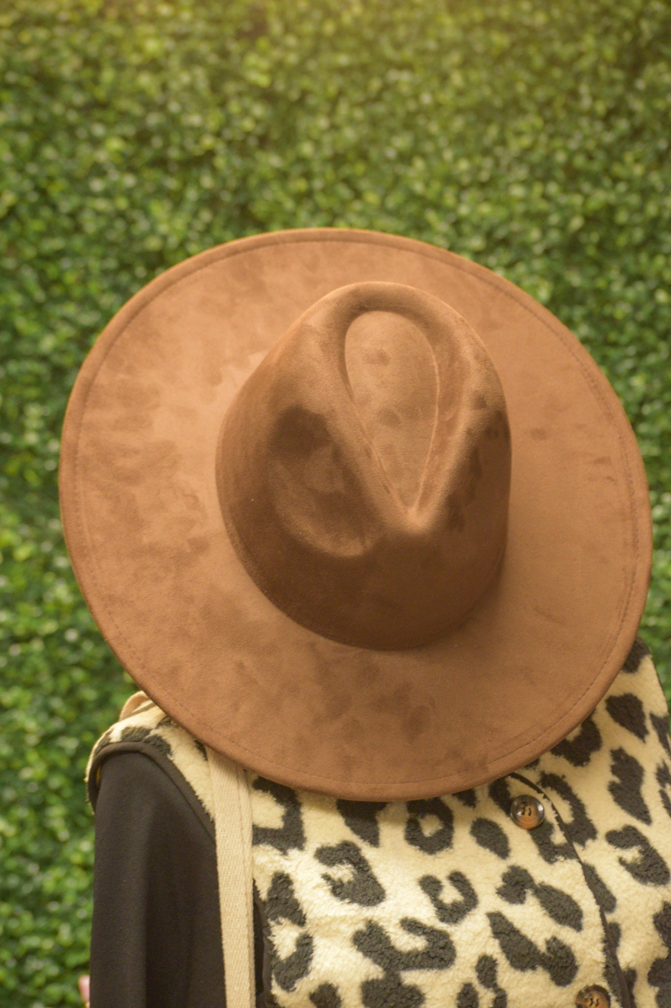 Brown Felt Hat