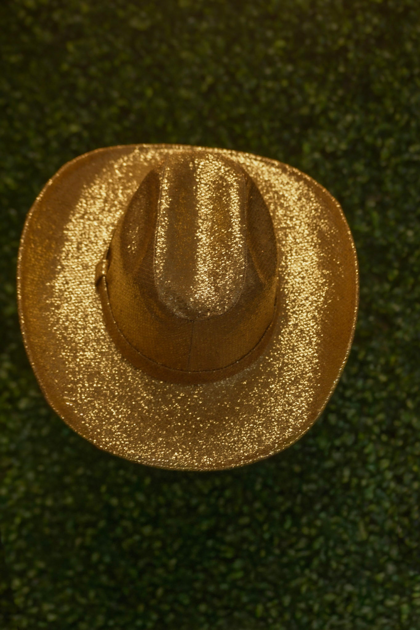 Gold Glitter Cowboy Hat