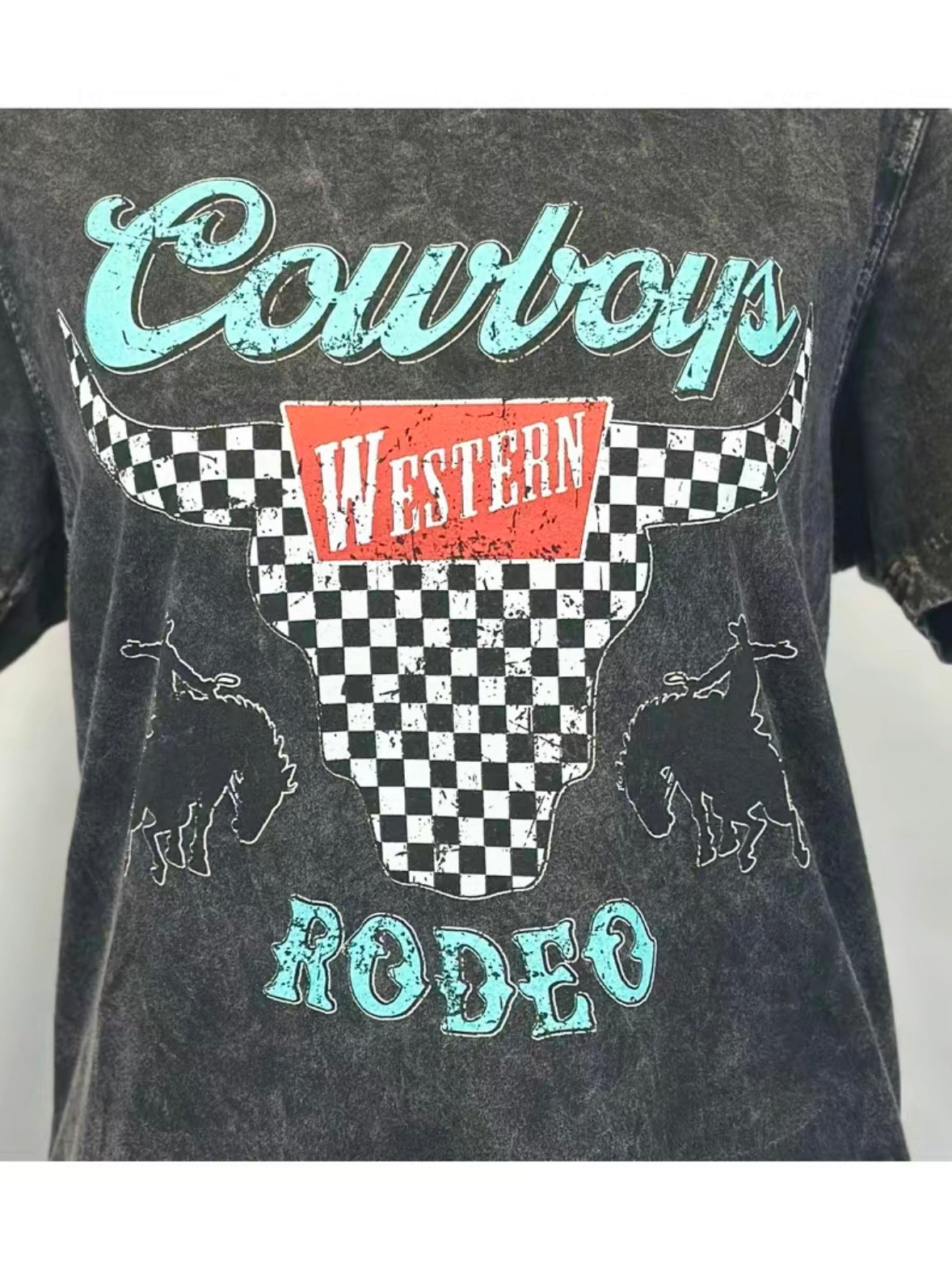 Cowboy Rodeo