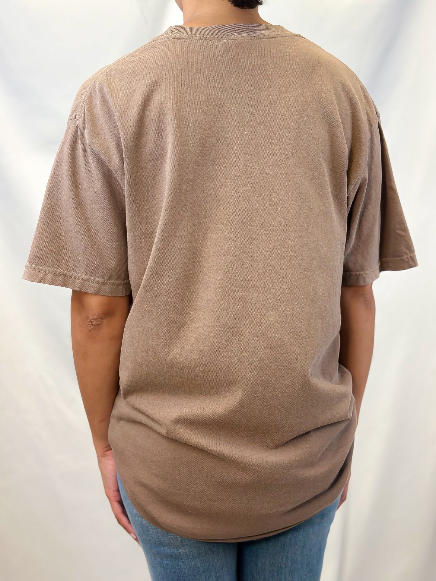 Dilly Dally Goose Striped Goose Print